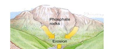 Step 2: Dissolving Phosphate