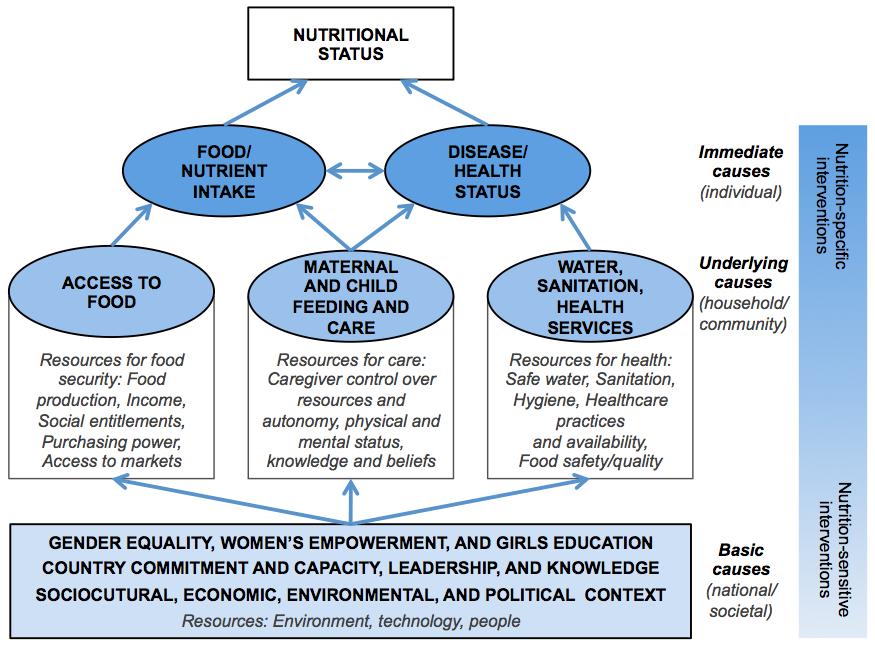 Enhancing Nutrition and Food Security during the first 1000 days through gender sensitive Social and Behavior Change: a Technical Resource Guide.