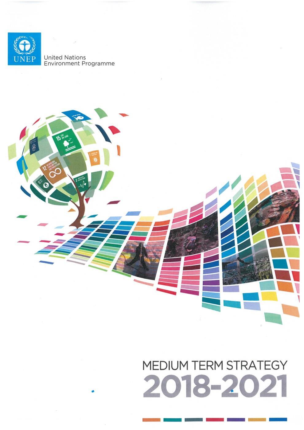 UN Environment response Medium-Term Strategy Informed by relevant resolutions and decisions.