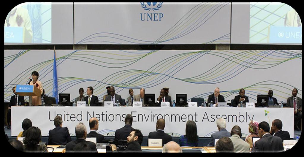 Intergovernmental processes Rio+20: The Future We Want Sendai Framework Addis Ababa Action Agenda Paris
