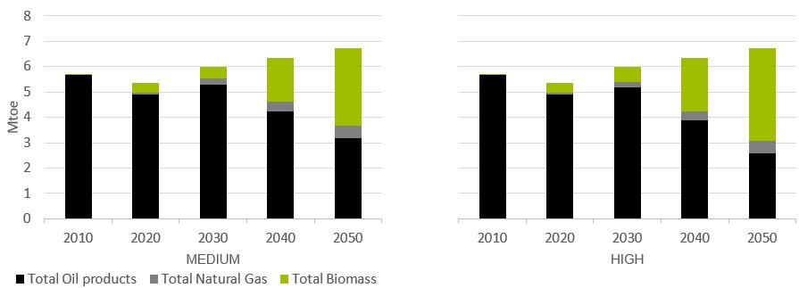 Advanced biofuels are the main alternative for