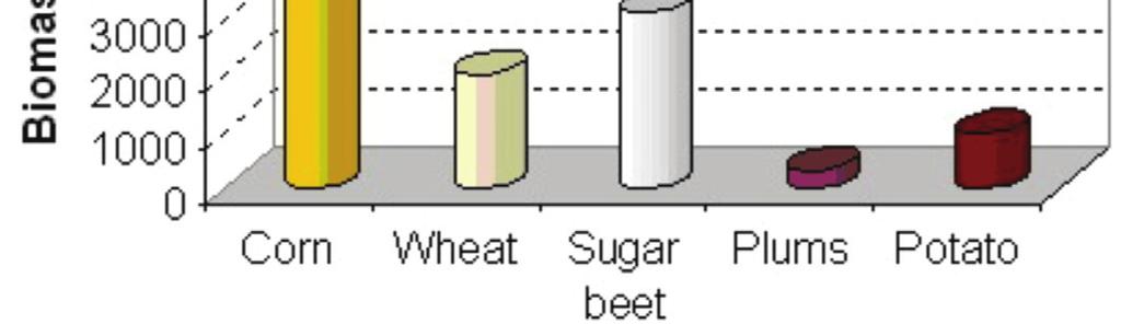 Figure 4. Production of biomass which could be used for bioethanol production in Serbia in 2006 [45,46]. ton, while estimated domestic needs for corn are only 4-4.5 million ton [47,48].
