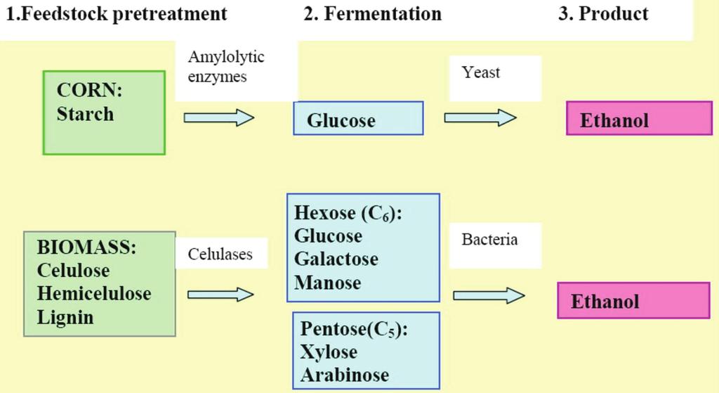 Figure 5. Schematic presentation of bioethanol production on biomass [13].
