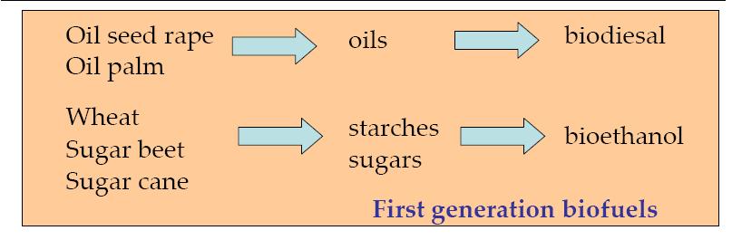 Biofuel made from sugar, starchy crops, vegetable oil or animal fat using conventional technology.
