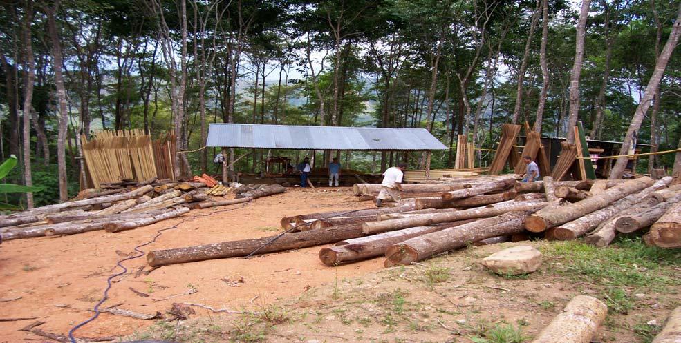 Community Forest Management Key lesson learned: Community involvement reduces illegal and/or unsustainable logging Communities with rights to manage (and benefit from) forests are incentivized to