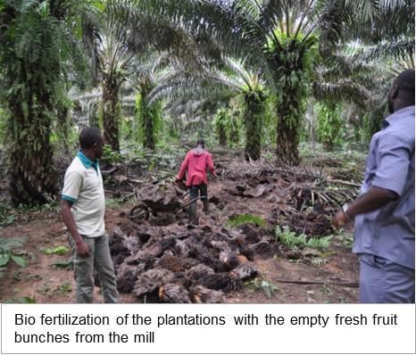 CHALLENGES & SOLUTIONS Nestlé is working with its suppliers to achieve plantation level traceability for our palm oil ingredients.