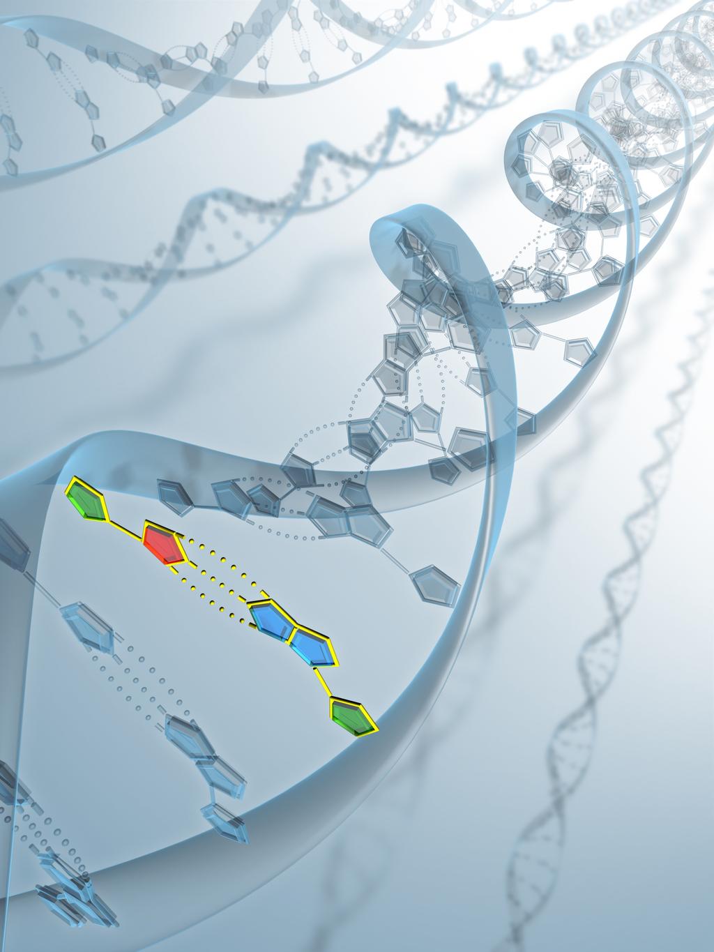 BIO BASIC Plasmid DNA Extraction Miniprep Kit 9K-006-0009s (10 preps)