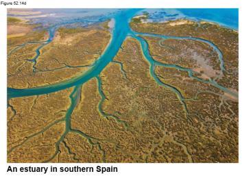 Estuaries An estuary is a transition area between river and sea Salinity varies with the rise and fall of the tides Estuaries are nutrient-rich