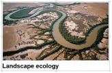 the planet Ecosystem ecology Community ecology Population ecology Organismal