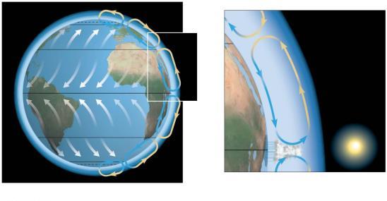 Figure 52.3b Global air circulation and precipitation patterns 66.