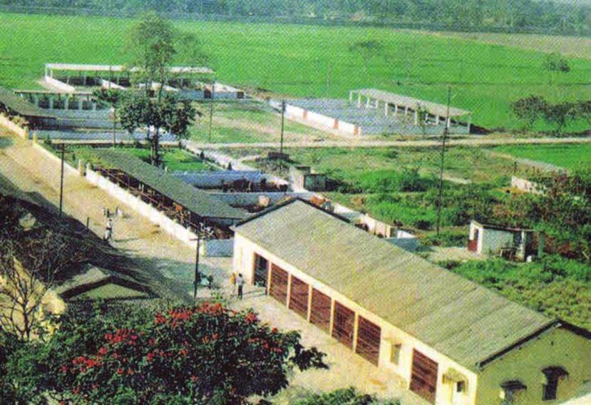 1964 and was shifted to Kalyani, Nadia district during 1966 and was located in the Administrative Building of Kalyani University.