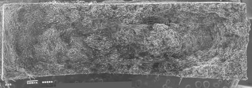 Figure 6 depicts SEM photographs of the CF/PP composites with DFFIM.
