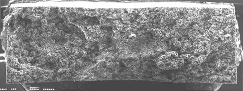SEM photographs of the CF/PC composites are presented in Figure 7. It can be seen that fibers were agglomerated on the PC matrix.