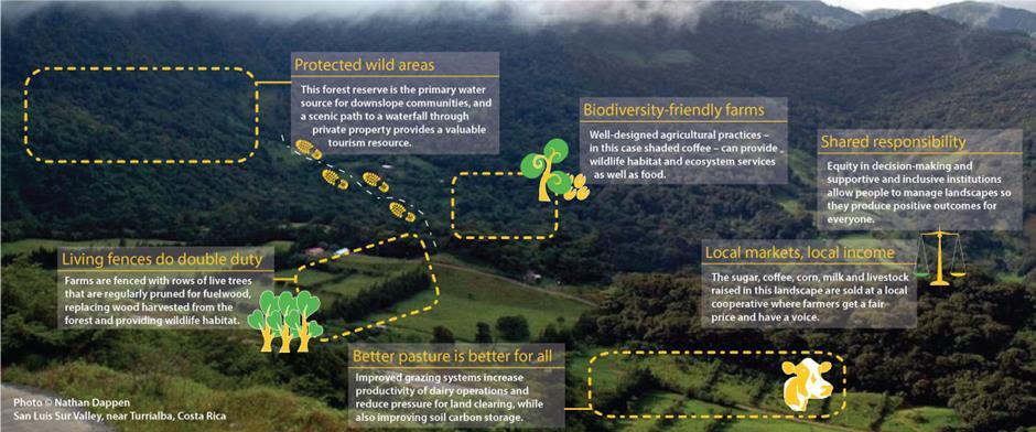 Perspectives the SDGs The new UN-REDD Programme will be aligned with the new Sustainable Development Goals (SDGs) currently being developed and agreed through the UN: Not only a focus on emissions