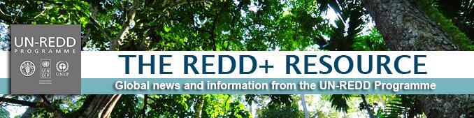 REDD+ defined Recognising that 10-15 percent of GHG emissions arise from deforestation and forest degradation, these were included in the agenda of the UN Framework Convention on Climate Change