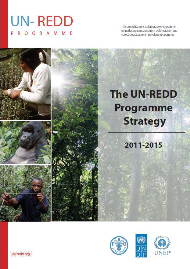 Strategy, 2011-15 Through 23 (larger) national programmes and (smaller) targeted support grants, the UN-REDD Programme currently funds capacity development for REDD+ «readiness» in 58 countries.