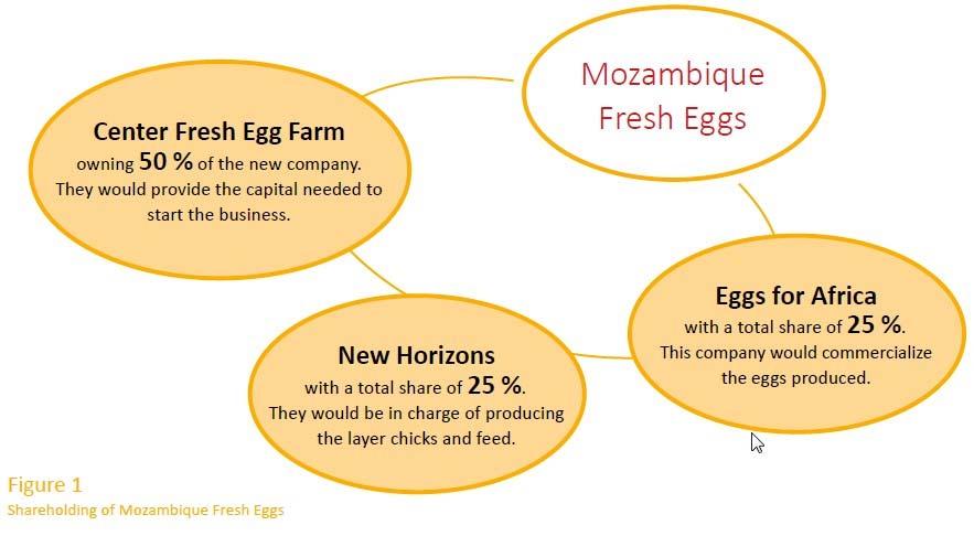 Mozambique Fresh Eggs Opportunity: 4