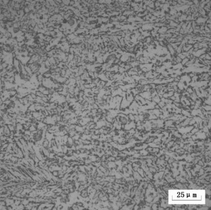 4, the microstructure of the non-microalloyed and microalloyed steels is tempered martensite and