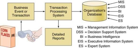 Three Organizational Systems (1)