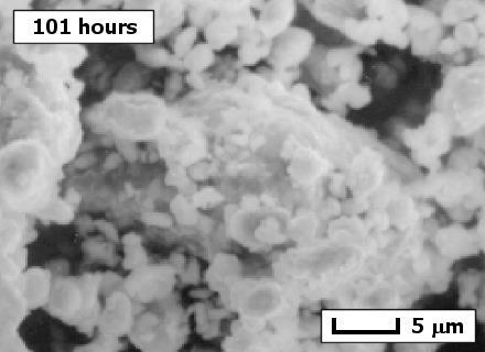 The morphology and microstructure of milled powders at the different stages of milling were examined by SEM with energy dispersive X-ray (EDX) analysis facility.