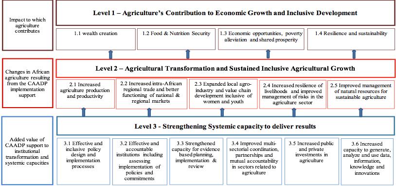 on specific country contexts between the transformation of agriculture and sustained inclusive growth, as well as strengthening systemic capacity to implement and deliver results.