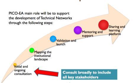 technical Networks; (4) Mentoring and supporting the development of networks; and (4) development of a learning and sharing platform. Figure 1, below illustrates these steps.