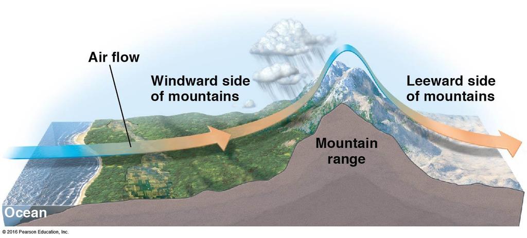 Global Climate Patterns: Mountains affect rainfall Regional and local differences affect