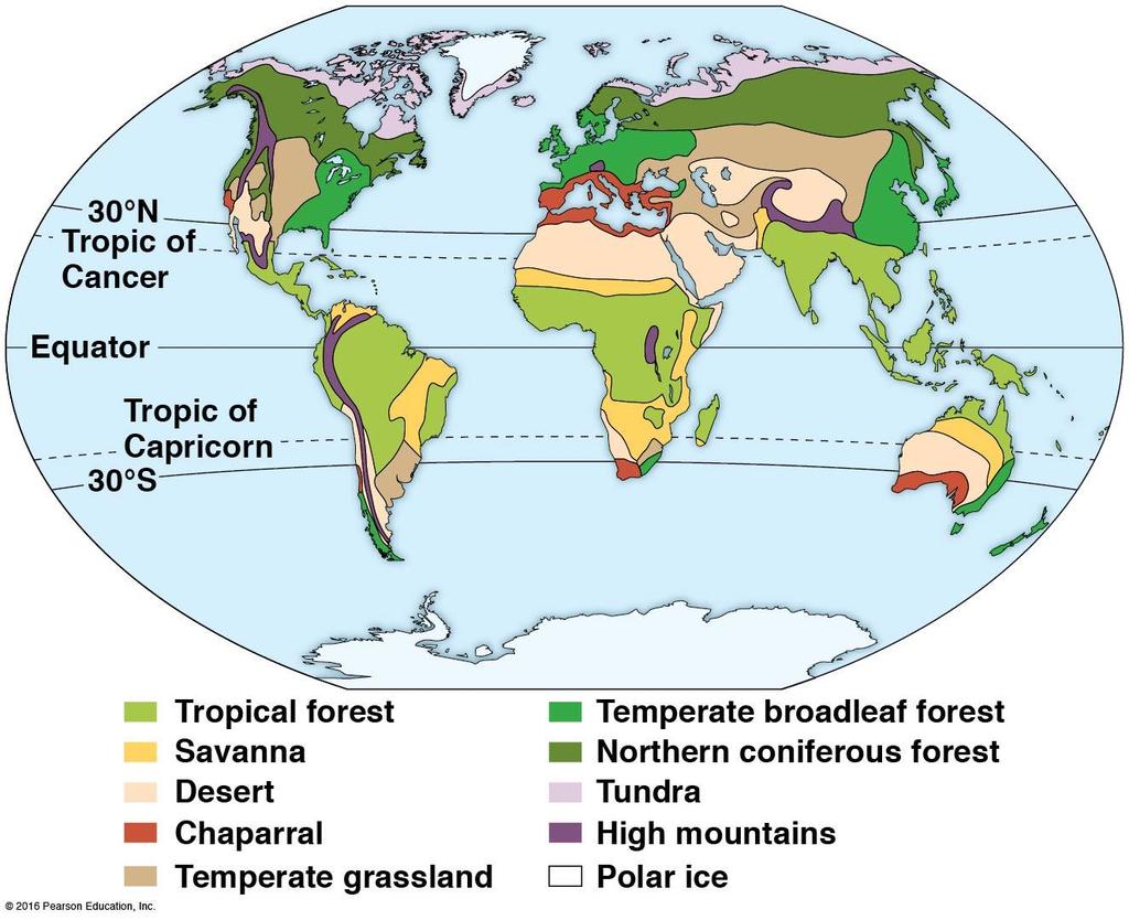 Biomes: major types of ecosystems