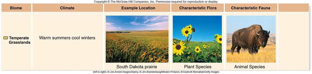 Biomes Temperate grasslands or Prairies Rich soils Grasses with roots that penetrate