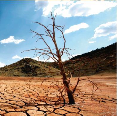 Towards an Integrated Drought Risk Management Accessible on-line in Spanish and