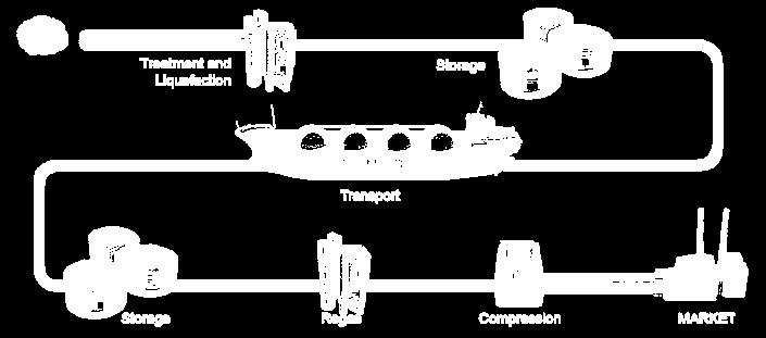 1. CNG TECHNOLOGY FOR MARITIME TRANSPORTATION SUPPLY CHAIN: LNG vs CNG Capex by item LNG