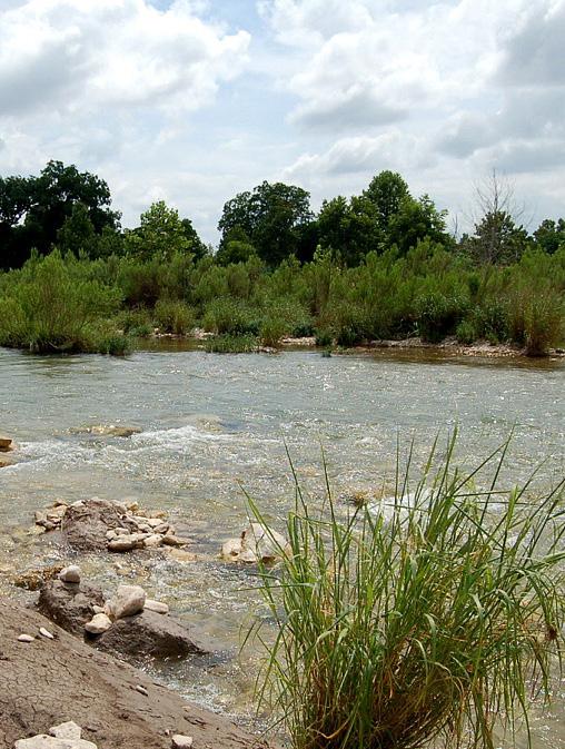 These working lands produce food and fiber, support rural economies, and provide wildlife habitat, clean air and water, and recreational opportunities for many Texans.