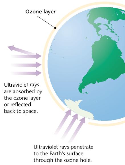 Effects of Ozone