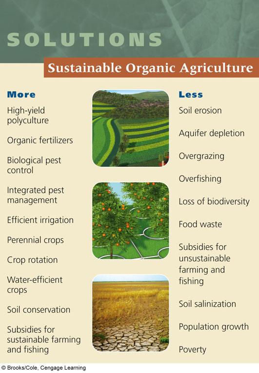 Sustainable Agriculture Organic agriculturecrops grown with little or