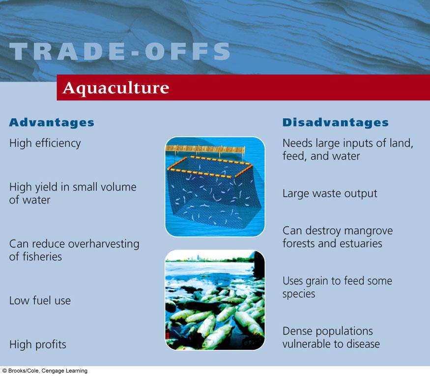 Aquaculture Problems: 2003 study: Farmed salmon have 7 times more PCBs than wild salmon and 4 times more than feedlot beef 2004 study: Farmed salmon have 11 times more dioxin than wild salmon 25 FIG.