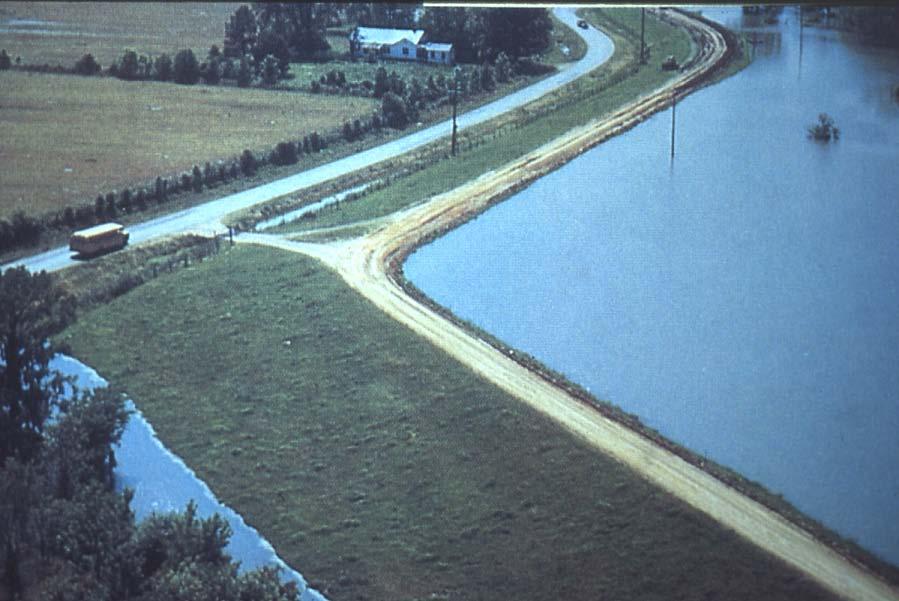 Levee 1. alter the hydrology and other physical processes 2.