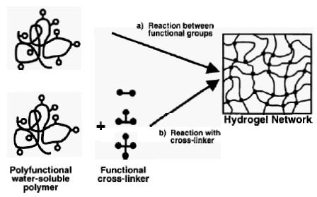 Cross-Linking of Water-Soluble Polymers Cross-linking of water-soluble multifunctional polymers by reaction between the functional groups results in chemical hydrogels (Figure 7-10(a)).