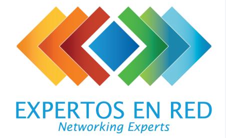 Working Areas: Period 2014-2016 NETWORKING EXPERTS, is a technical networks platform of the Energy Sector in