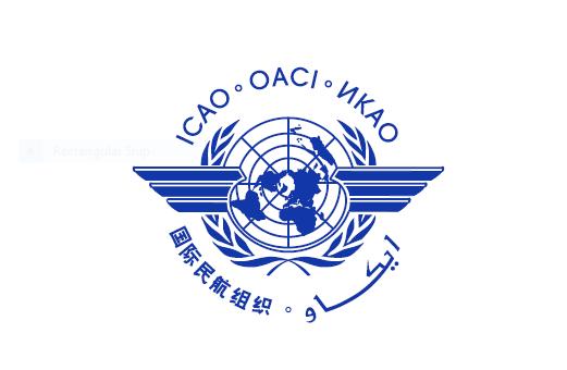 has input UNFCCC Good coordination including technical exchanges ICAO CORSIA (Carbon