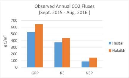CO2 Flux Observations for