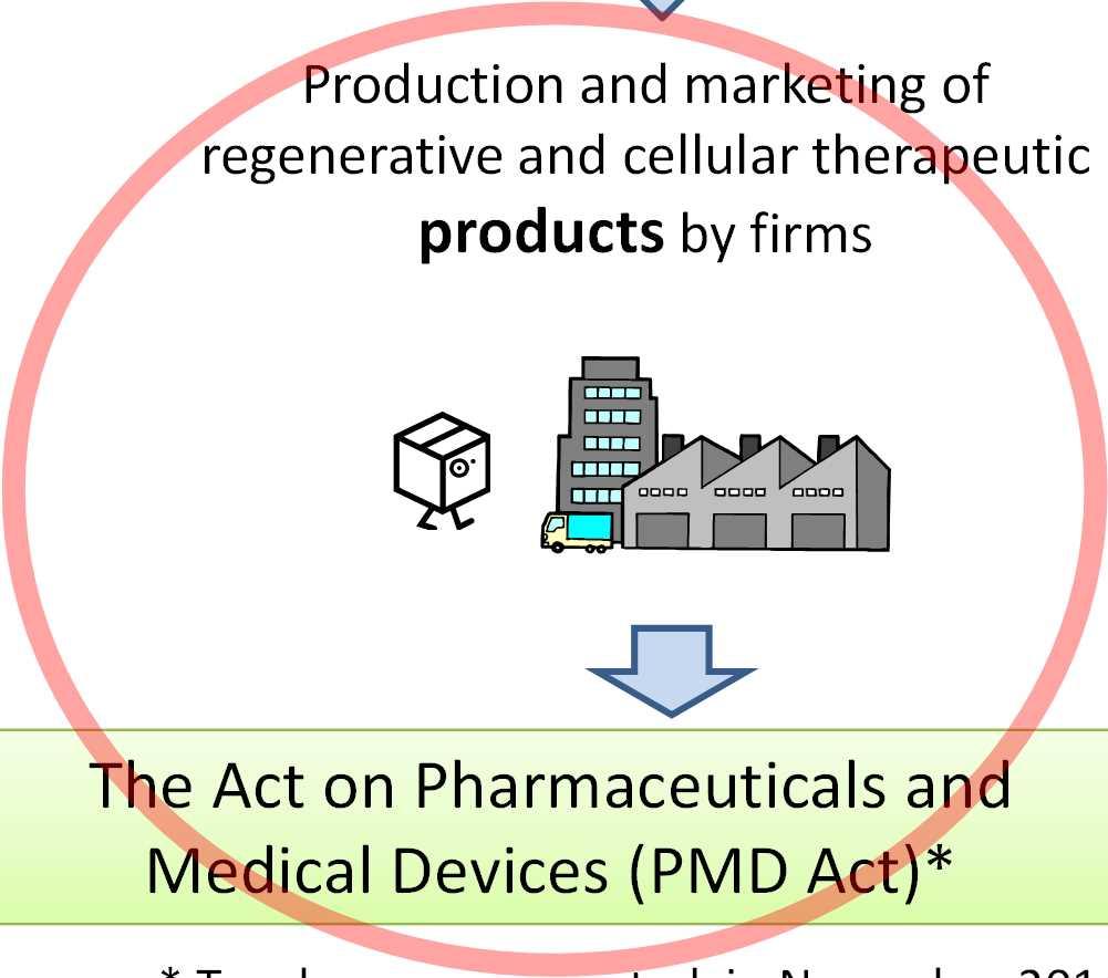 regenerative and cellular therapeutic products by firms The Act on the Safety of Regenerative Medicine (ASRM) The Act on