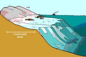 2. Neritic Zone Ocean region between the edge of the continental shelf and the low tidemark Continental shelf- shallow border that surrounds the continents, area between shore and about 200m below