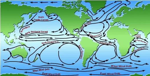 Ocean Driven mostly by winds May vary somewhat during the year or from year to year but most are stable Because of currents
