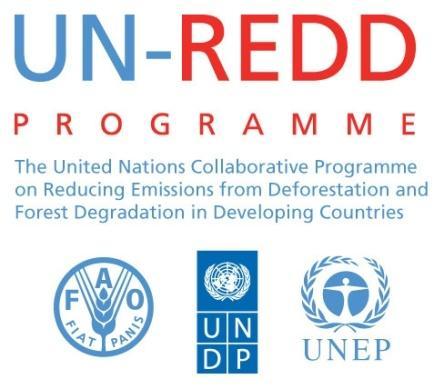 Support to National REDD+ Action Global Programme
