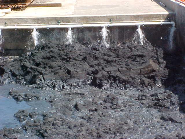 Well paths of monitoring wells Figure 1. TIRE project site Figure 2. Biosolids in the blending pit Figure 4.