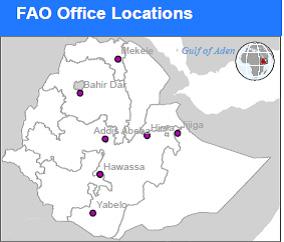 FOOD AND AGRICULTURE ORGANIZATION AT A GLANCE Head of Office: Ms Susan Minae FAO Representative to Ethiopia ad interim: Tel; +251 11 647 8888 (ext 131); E-mail: SFE-SRC@fao.