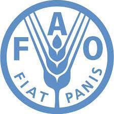 agricultural development, food security and Deputy Head of Office: Mr Hassen Ali Assistant FAO Representative: Tel; +251 11 647 8888 (ext 163); E-mail: Hassen.Ali@fao.