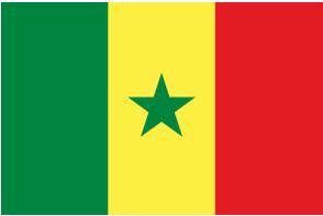 International Best Practice is in Place AfricanBestPracticeisEmerging:Senegal Institutional level National standards/ Legal reform to allow interoperability in progress; Revision of data collection