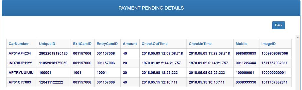 Web Portal Payment Pending