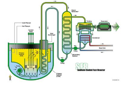 SFR Sodium-Cooled Fast Reactor The pool design